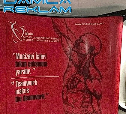 orumcek-stand-4